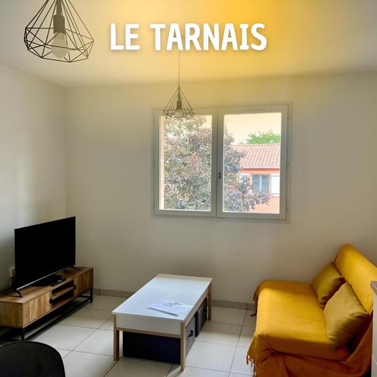 un salon avec un canapé et une table dans l'établissement Le Tarnais Minimaliste - Netflix - Clim - Parking Privé - Gare, à Albi