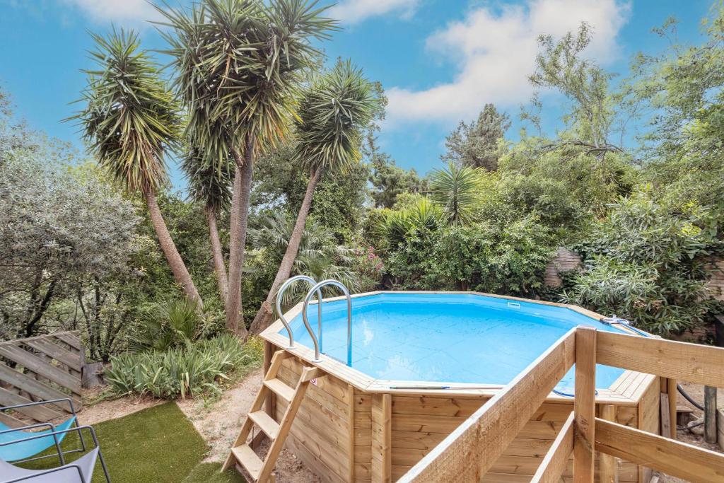 une piscine dans un jardin planté de palmiers dans l'établissement Petite maison de bois, à Banyuls-dels-Aspres