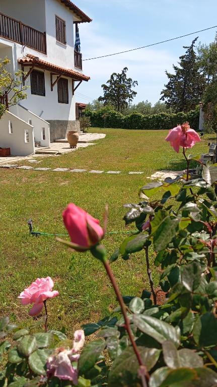 a group of pink flowers in a yard at "STARDUST" Family House in Metamorfosi