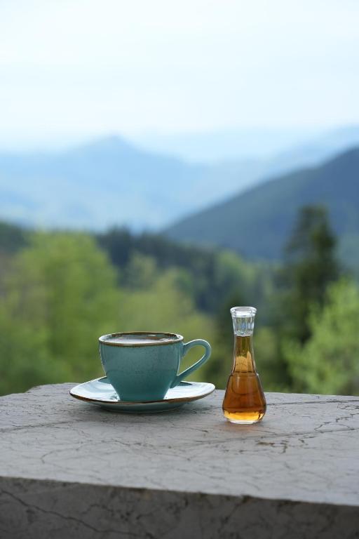山景或在公寓看到的山景