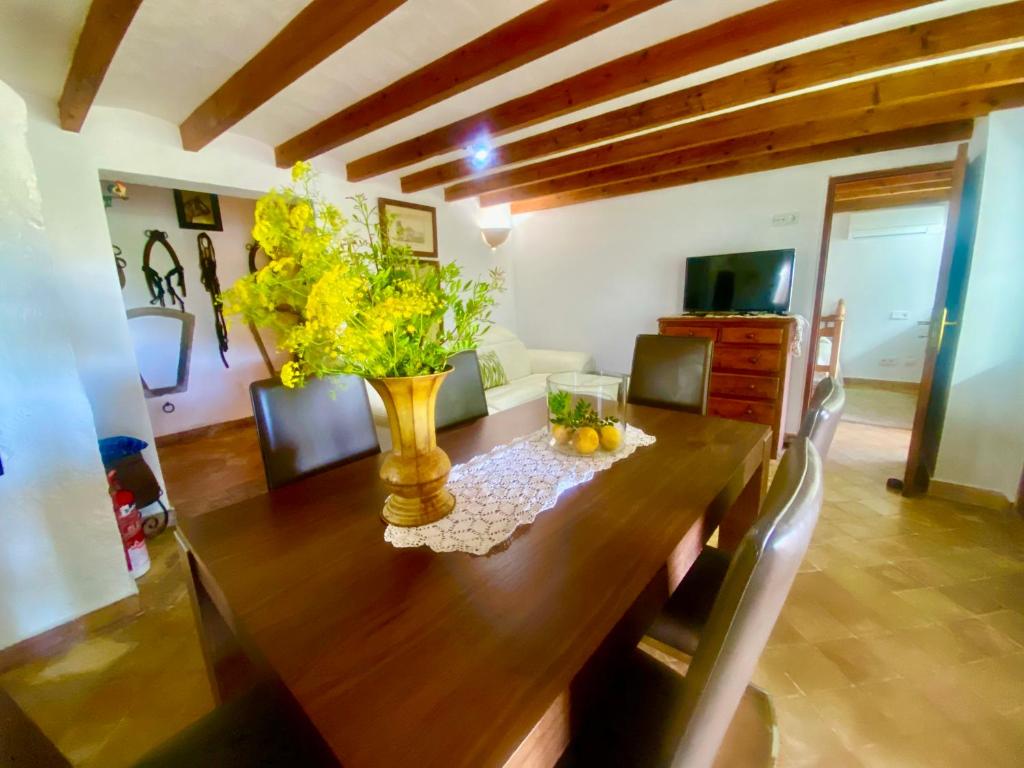 A television and/or entertainment centre at Rural Charm villa and Outdoor Adventure Agritourism Apartment with Private Mountain Path approximately 5 minutes walking from the beach Ideal for relaxation