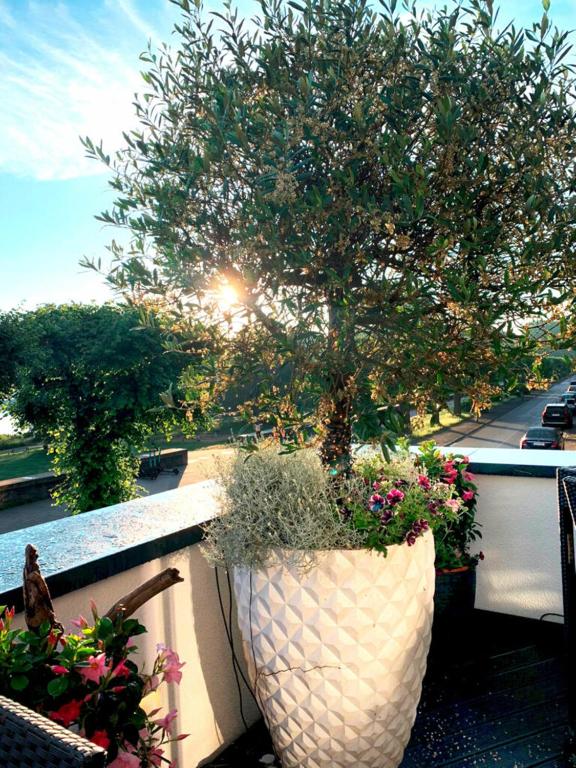 Villahotel Rheinblick - Resim 31