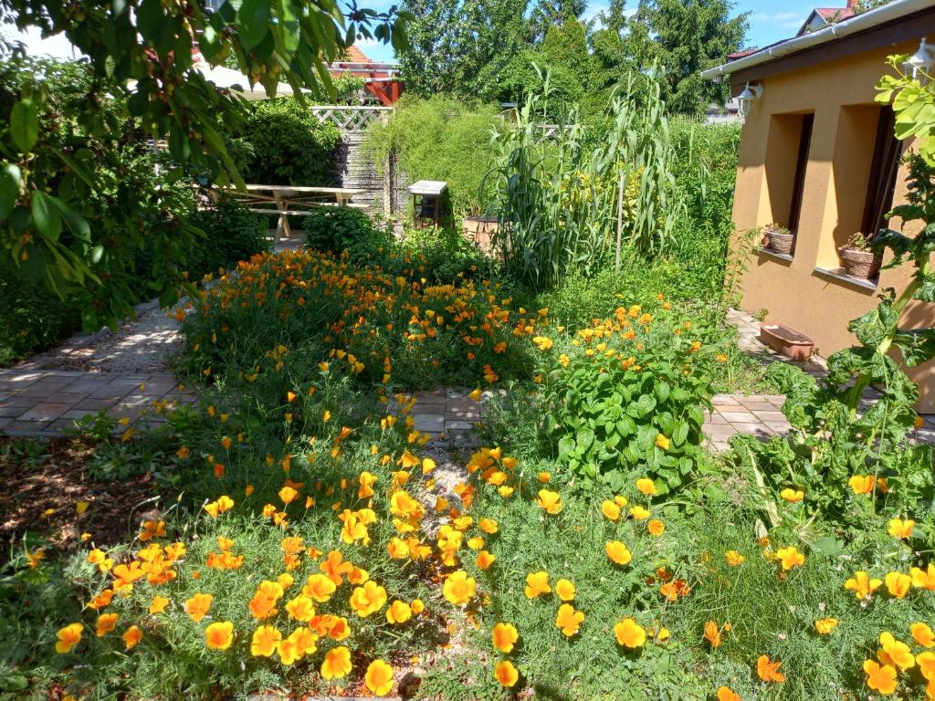 Vonkajšia záhrada v ubytovaní Jázmin-Szieszta Apartmanház Balatonfüred