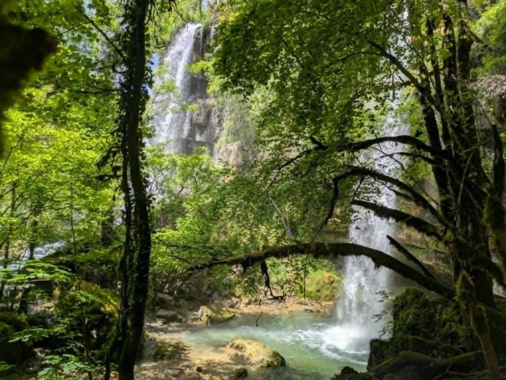Paysage naturel près de la maison de vacances