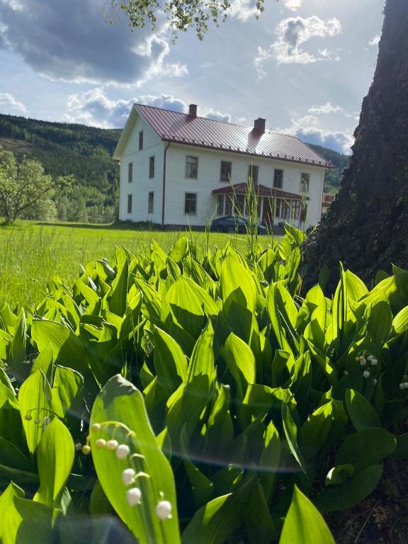 Сад в Mysig lägenhet i Prästgård nära Branäs