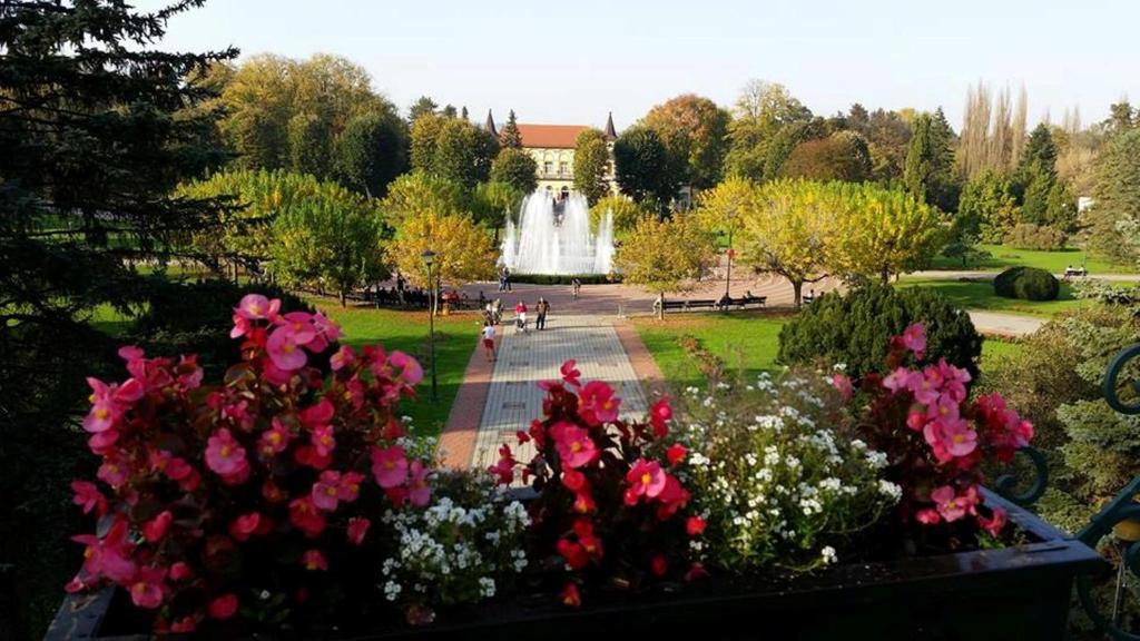a bunch of flowers in a park with a fountain at Hotel Royal Spa in Banja Koviljača