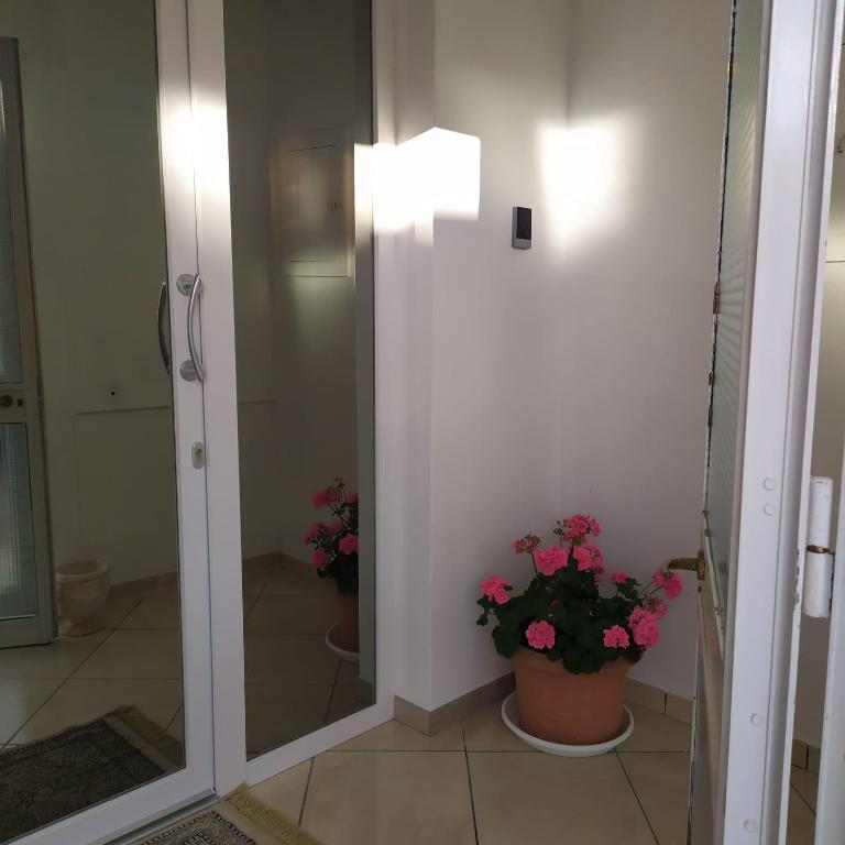 ポルト・チェザーレオにあるCasa Antonellaの鉢植えの植物2本と鏡付きのバスルーム