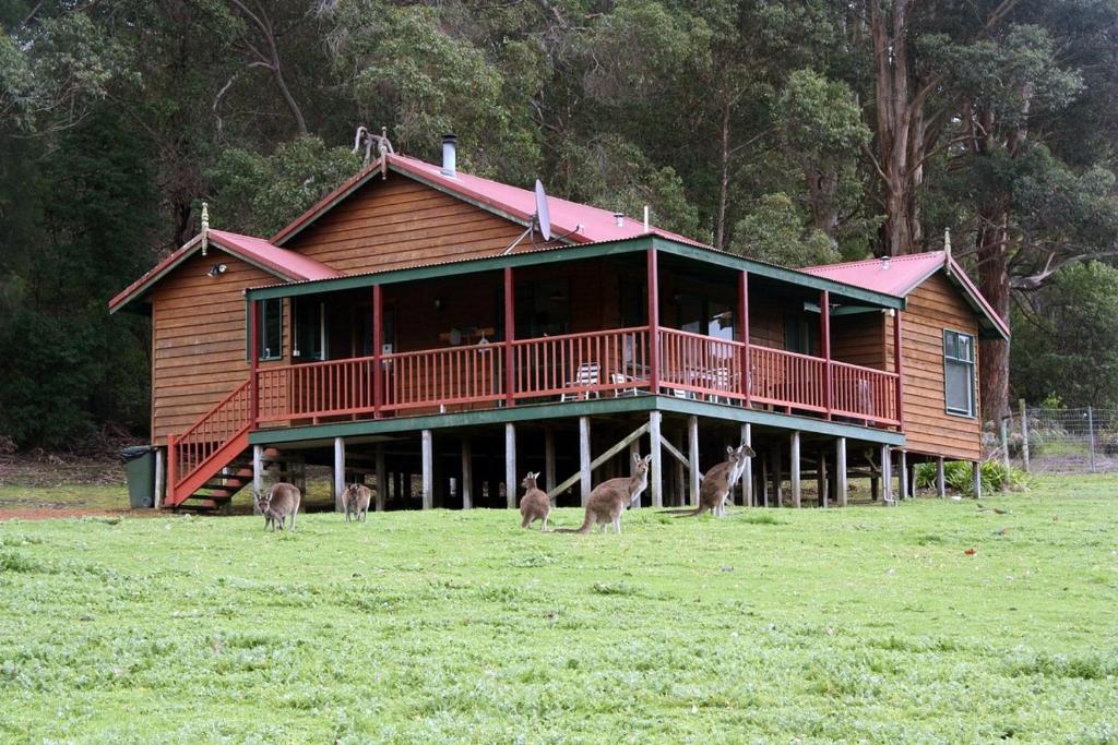 a group of animals standing in front of a house at #4 Walpole Wilderness Resort chalet - Spa & Forest! in Walpole