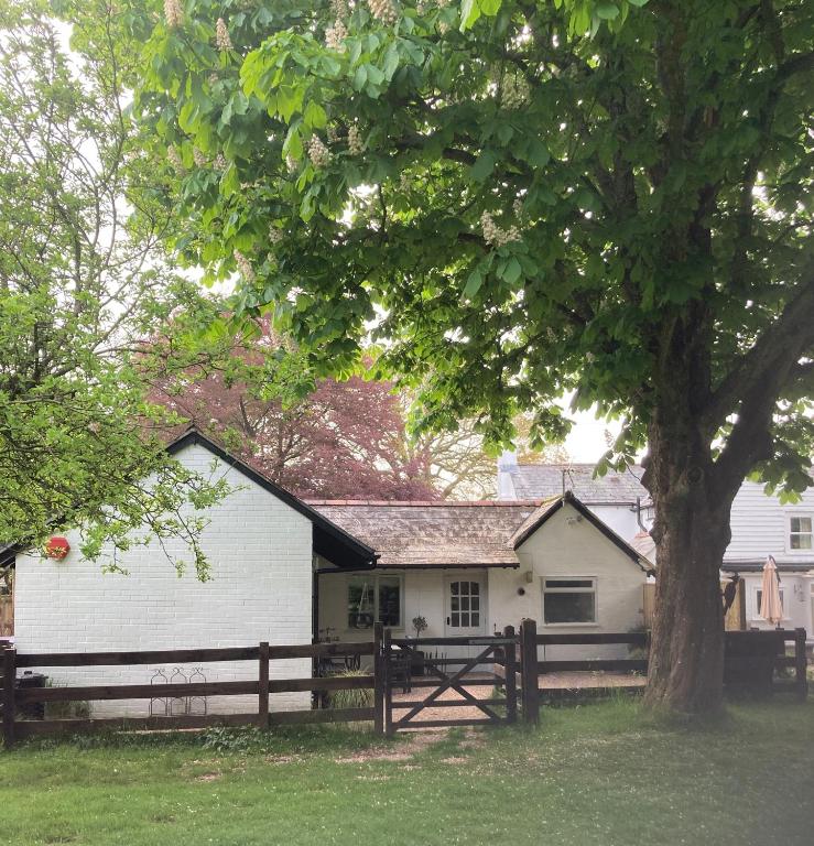 a white house with a fence and a tree at Chestnut Cottage New Forest in Brockenhurst