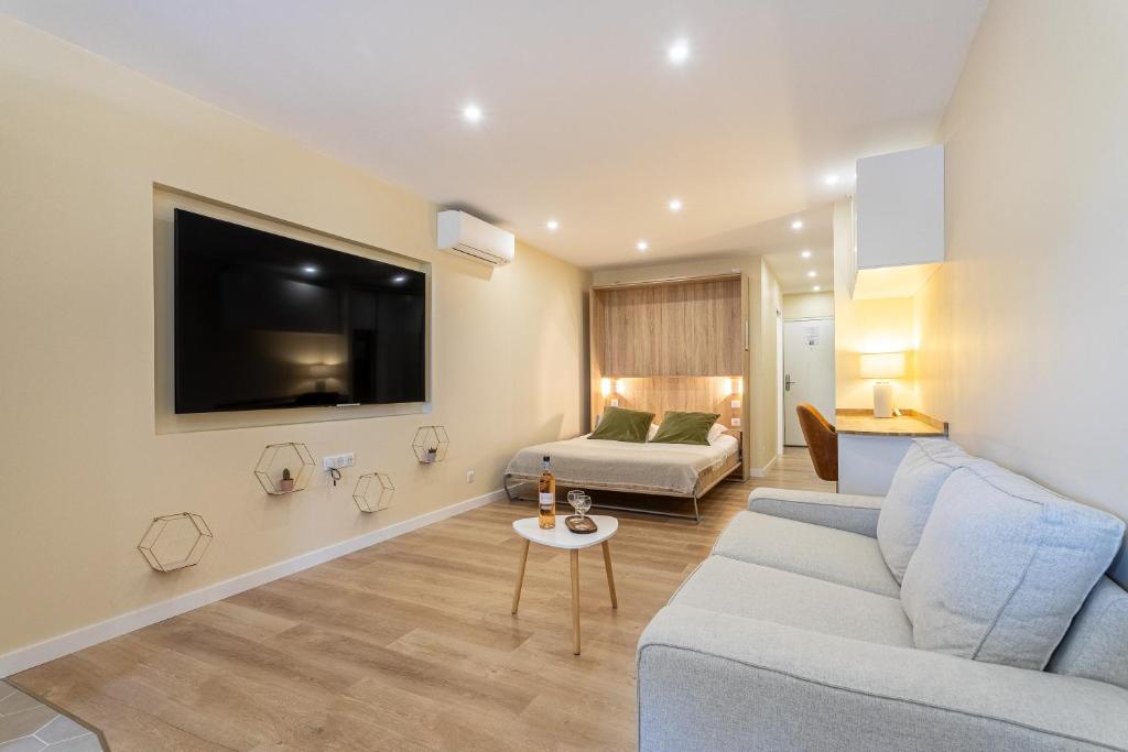 un salon avec un canapé et une télévision dans l'établissement La Cabane du Port WIFI/Plages, à Hyères