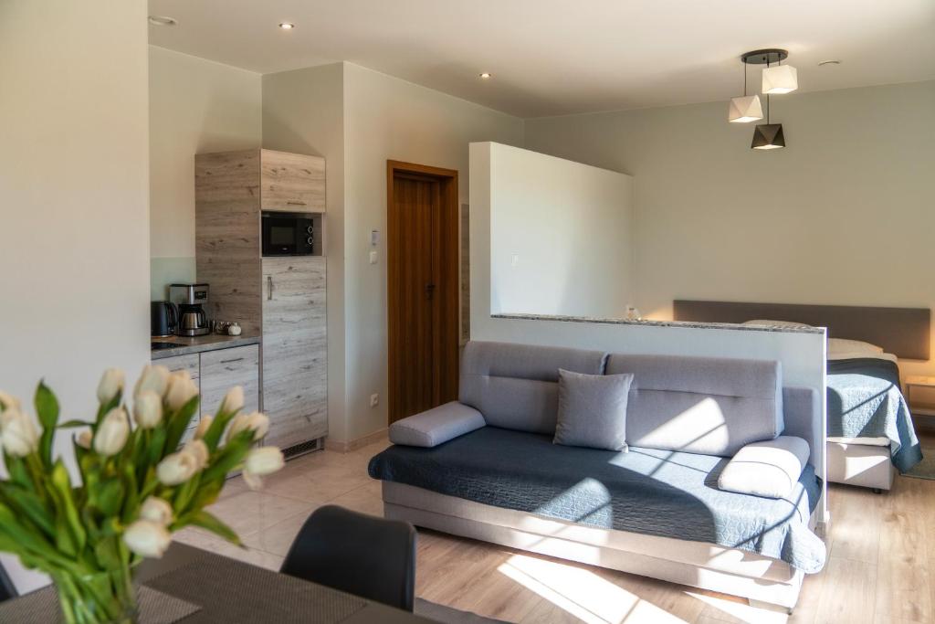 PRZY TERMACH apartamenty, pokoje - podgrzewany basen, hydromasaż i tylko 70m Termy - スタジオ テラス付