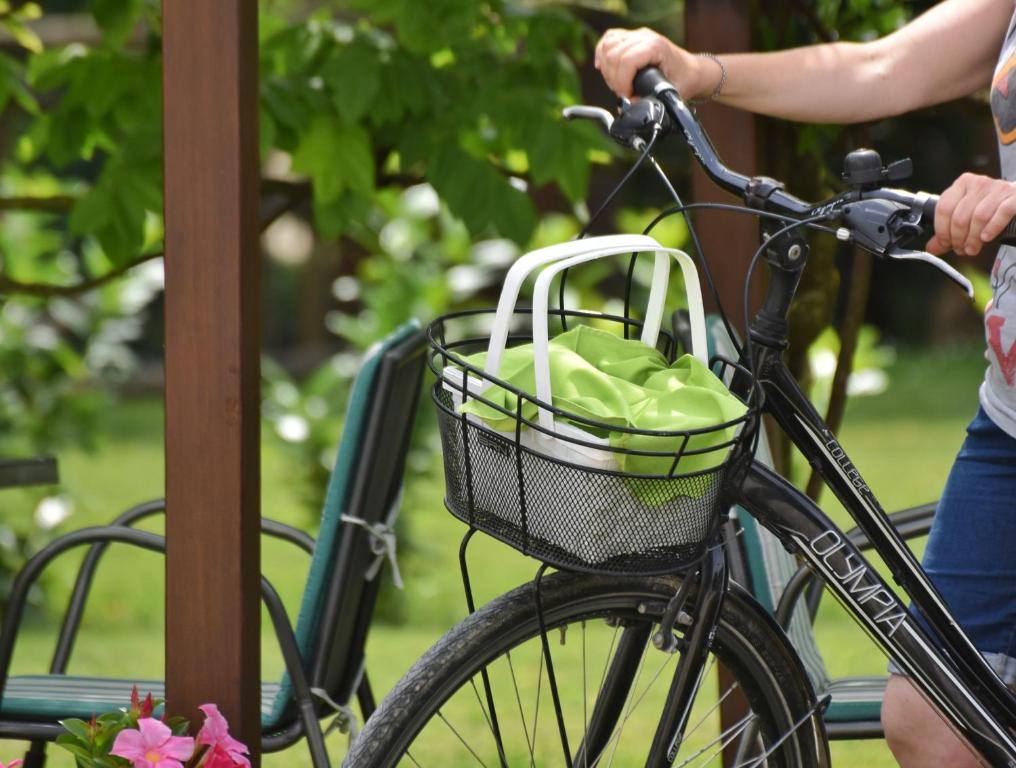 Attività di ciclismo presso il bed & breakfast o nelle vicinanze
