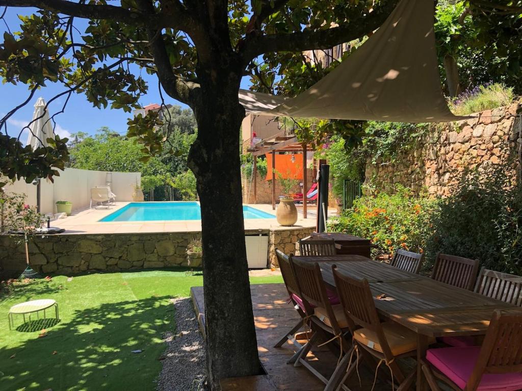 une table et des chaises sous un arbre à côté d'une piscine dans l'établissement Traditional Corsican house with private swimming pool, à Cauro