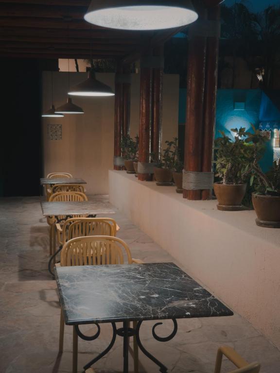 Fotografie z fotogalerie ubytování Hotel Los Patios v destinaci Cabo San Lucas