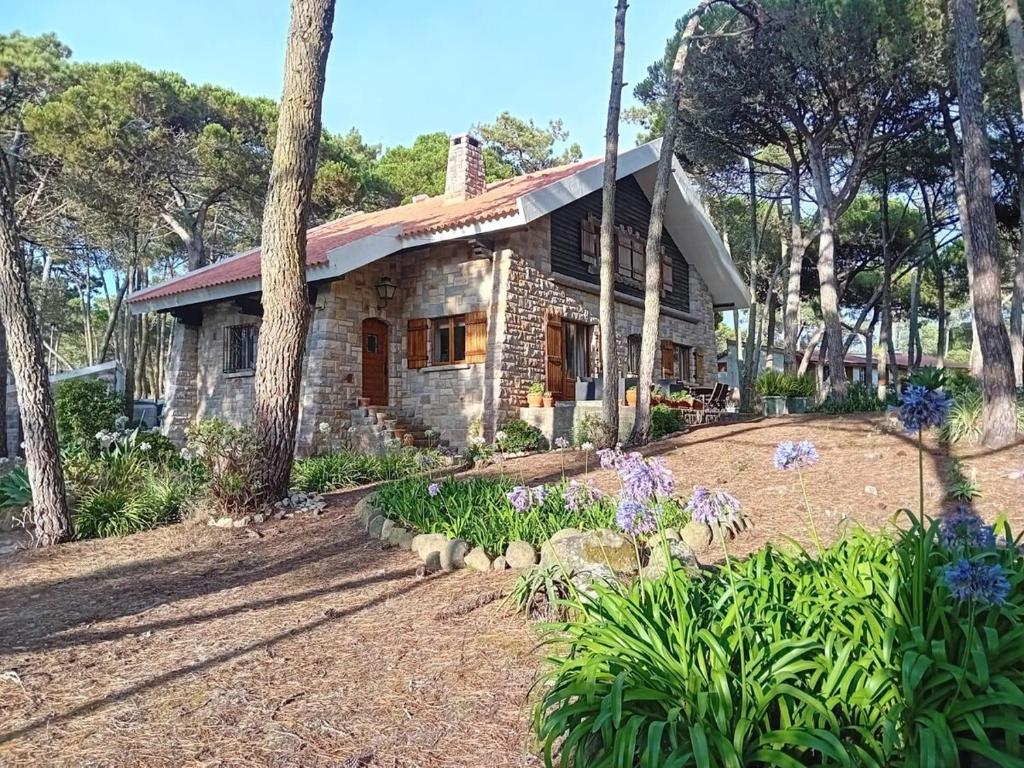 Taman di luar Casa da Âncora