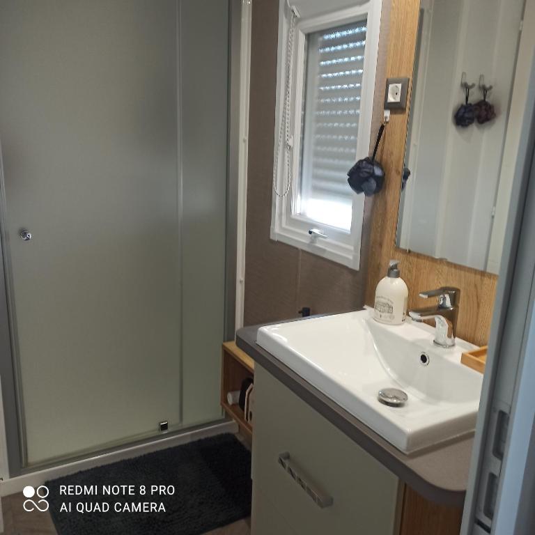 une salle de bain avec un lavabo et un miroir dans l'établissement Résidence Camping Les Dunes, au Grau-dʼAgde