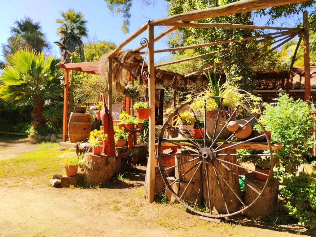 Zahrada ubytování Suite con DESAYUNO SOLO PARA DOS Ó Cabañas familiares Los PINARES DEL MAR -Pet friendly