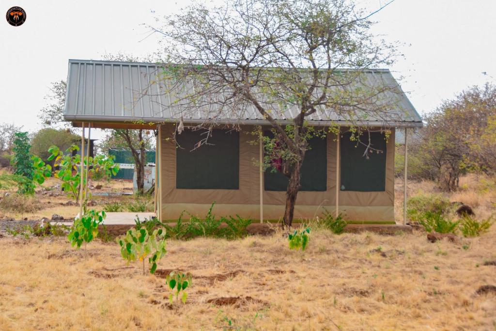 Zahrada ubytování Oldonyo Musa Amboseli Campsite