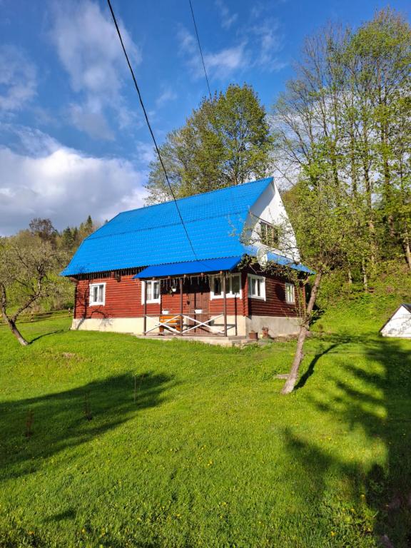 a house with a blue roof on a green field at Sadyba na Luzi in Verkhne-Studeny