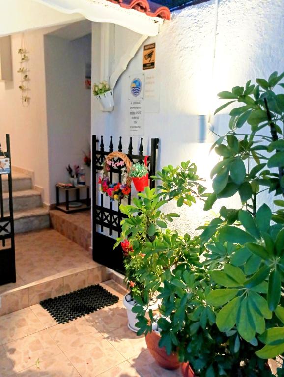 Zahrada ubytování Ιno Skiathos