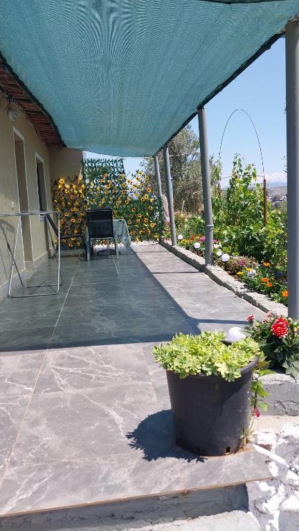 Fotografie z fotogalerie ubytování Vila Disha Ksamil v destinaci Ksamil