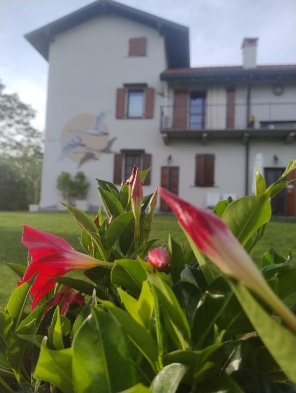 Vonkajšia záhrada v ubytovaní Cascina al Ponte