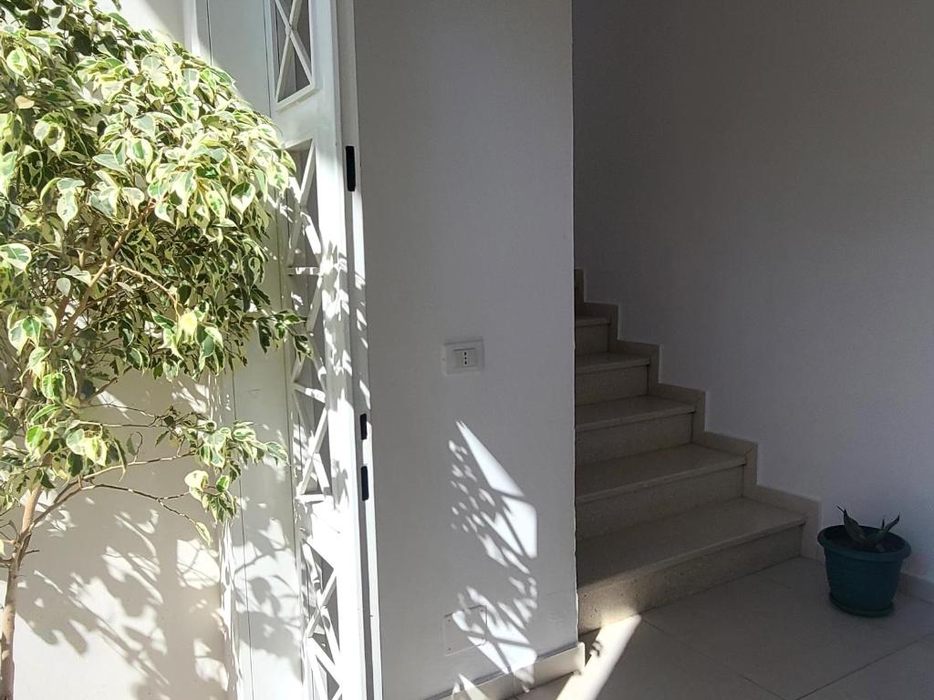 Foto dalla galleria di Villa Arli&Eris a Vlorë