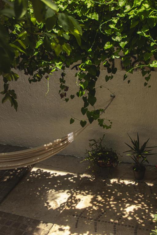Zahrada ubytování El Pinche Hostal