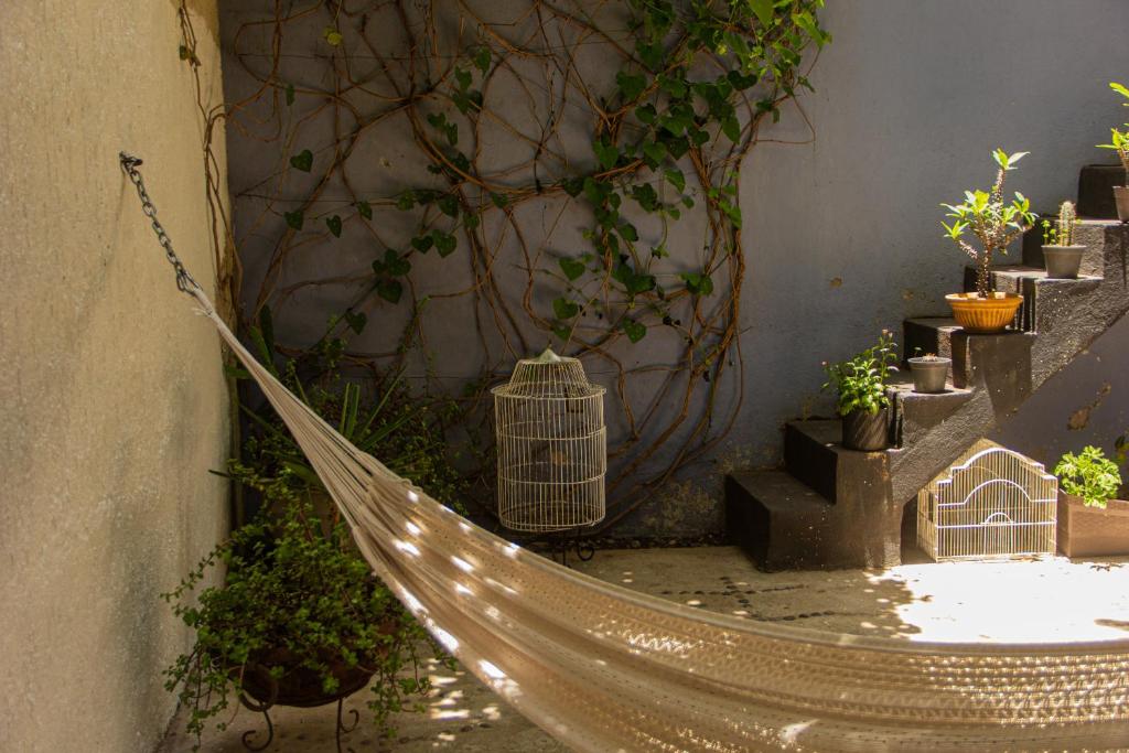 Zahrada ubytování El Pinche Hostal