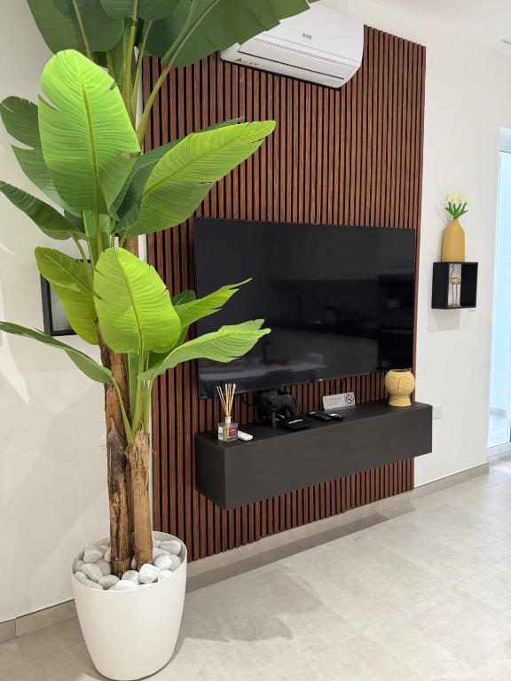 a plant in a pot in a room with a tv at The White Balcony in Il-Gżira