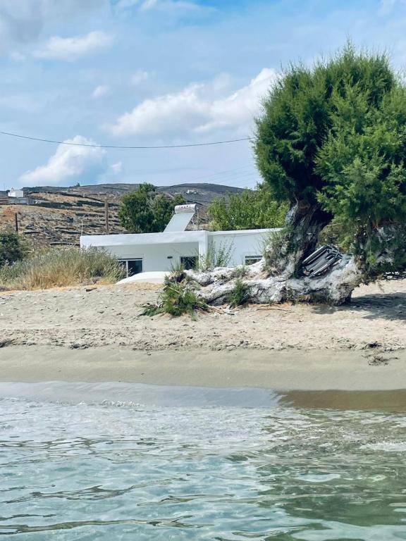 a white house on a beach with a tree at Lefkes Beach Suite in Kithnos