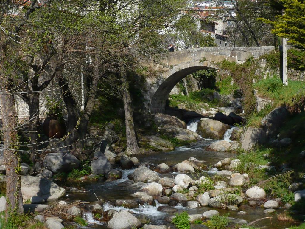 Príroda v okolí penziónu