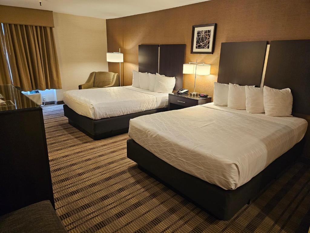 ベストウエスタン パサディナ ロイヤル イン ＆ スイーツ（パサデナ）：（最新料金：2026年）, image size:1024x768