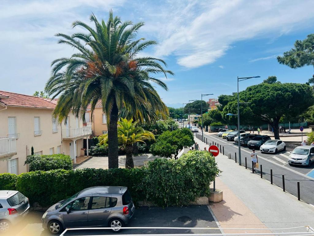 un palmier et des voitures garés dans un parking dans l'établissement Charmant T2 à 2 pas de la plage, Argelès-sur-Mer - FR-1-309-396, à Argelès-sur-Mer