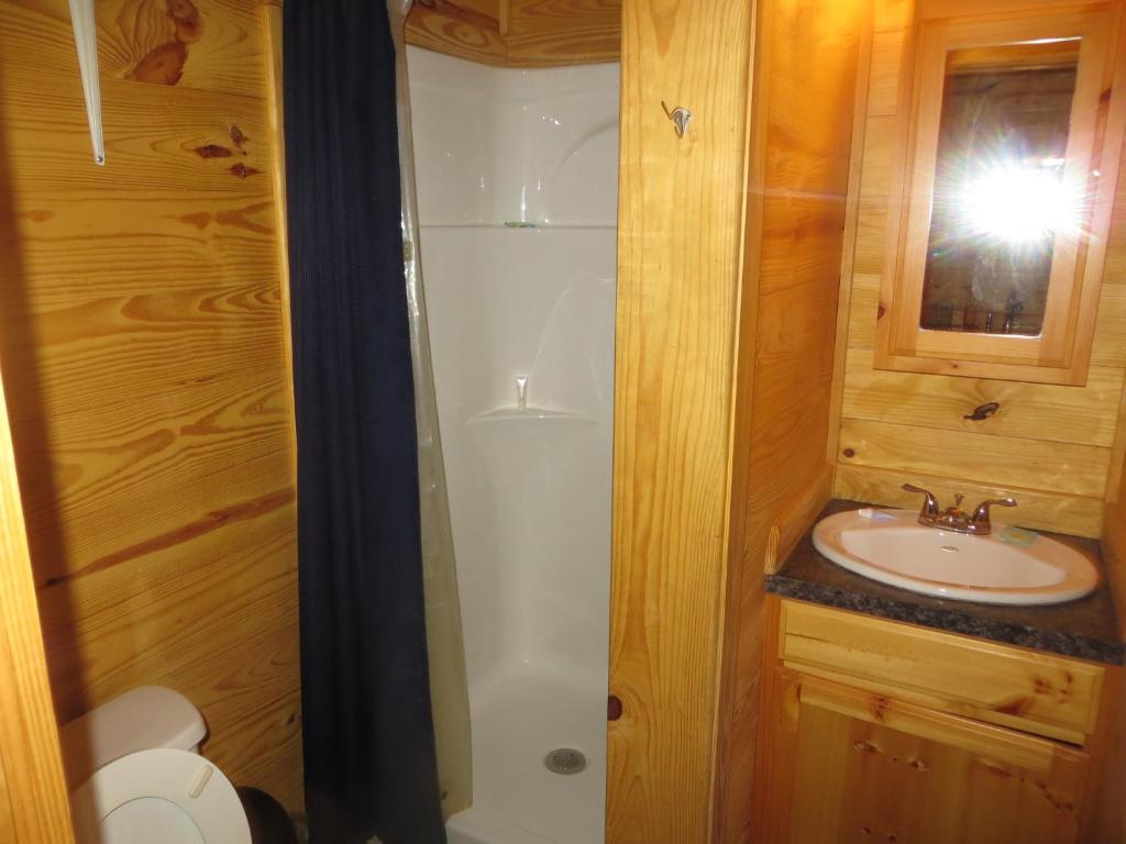 a bathroom with a shower and a sink and a toilet at All Tucked Inn Cabins in Stockdale
