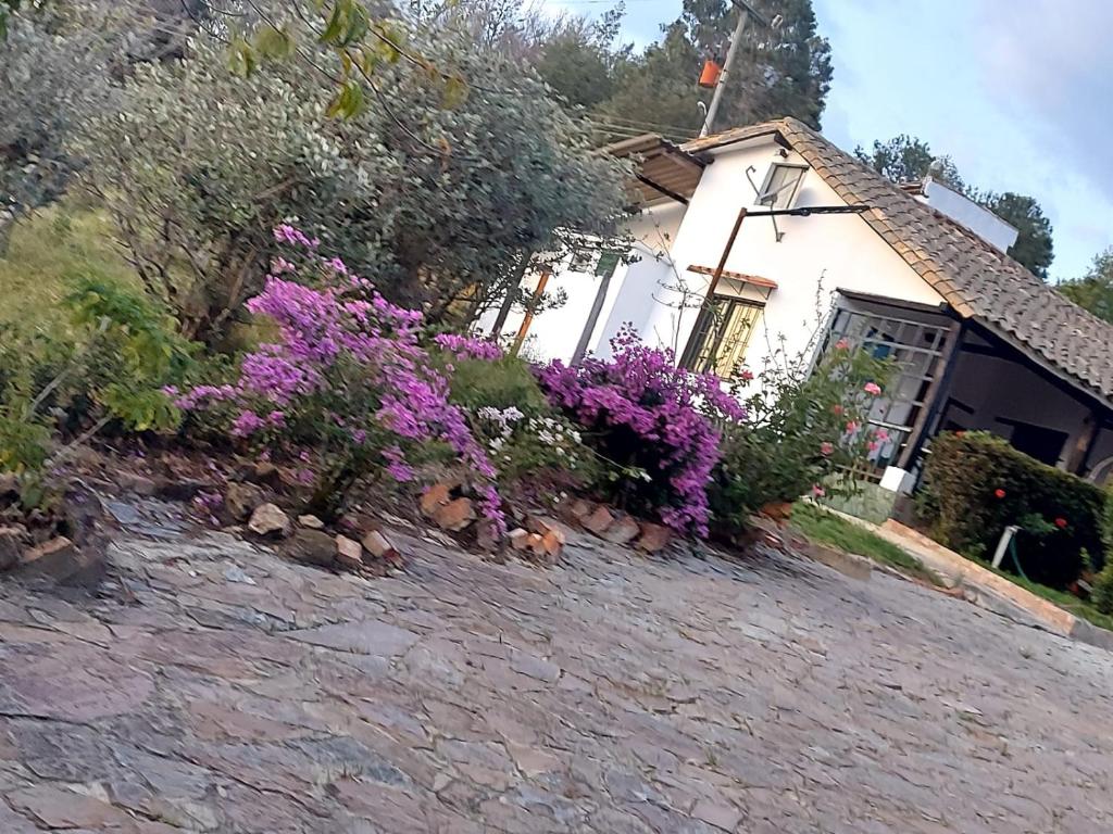 Zahrada ubytování La casa de la montaña