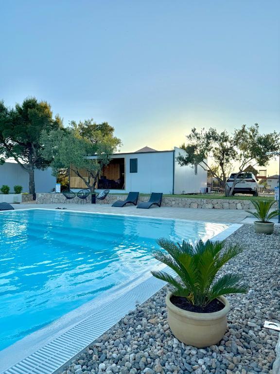 a swimming pool with a plant in a yard at Mobile Home Aura, Village Twins in Pakoštane