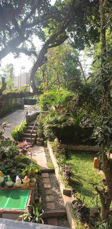 a garden with a bunch of flowers and plants at Orchid Bed and Breakfast in Galicias
