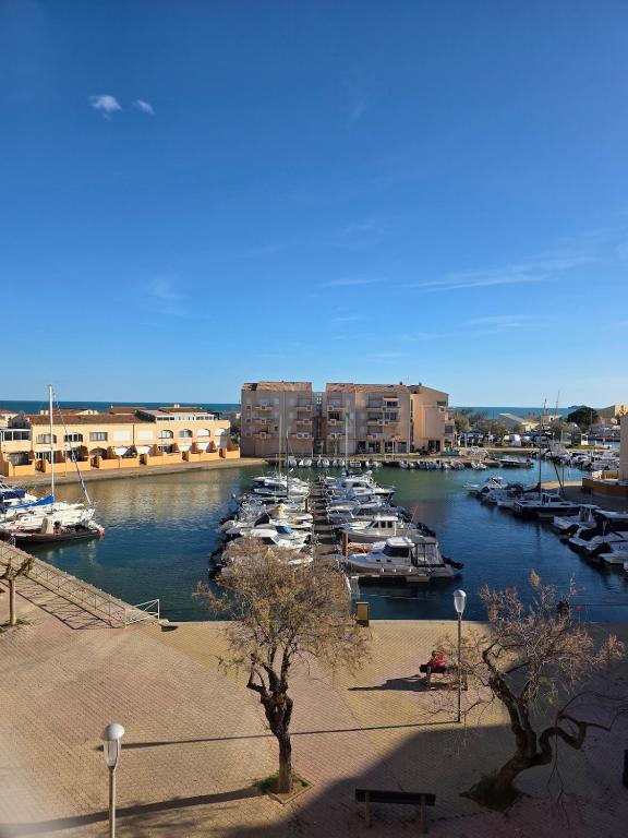 un groupe de bateaux amarrés dans un port de plaisance dans l'établissement BaroZig, à Frontignan