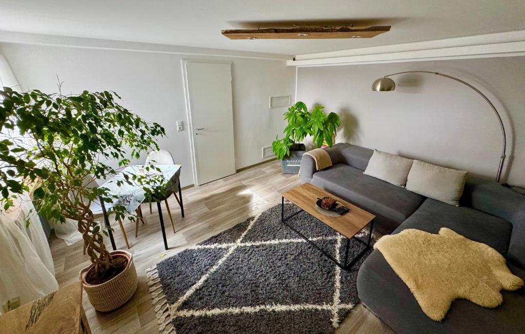 a living room with a couch and a table at Apartment Hearzzeit in Herzberg am Harz