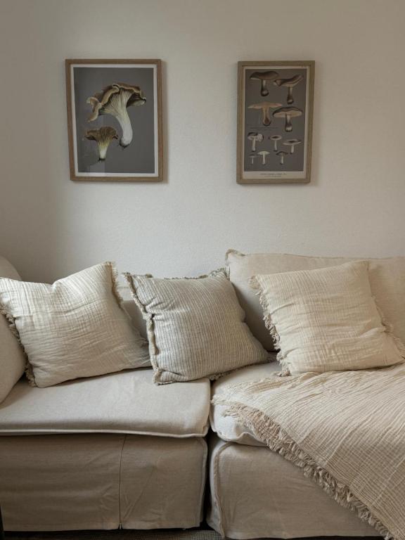 eine Couch mit Kissen in einem Wohnzimmer in der Unterkunft Mams-Cottage-Olivia in Harnischdorf