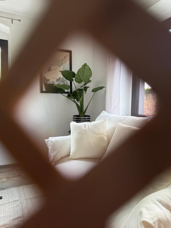 eine Couch in einem Zimmer mit Topfpflanze in der Unterkunft Mams-Cottage-Doris in Harnischdorf