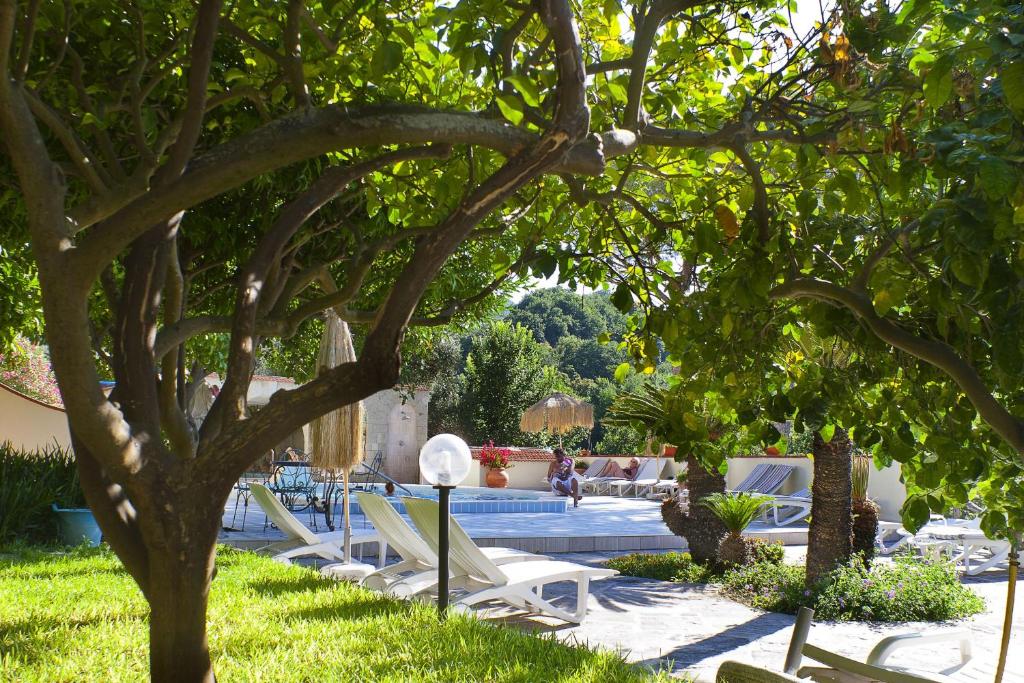 イスキアにあるResort Villa Flavioのラウンジチェアと木のある庭