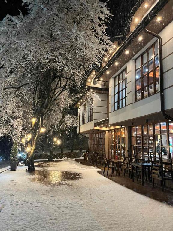 Restoran Lisine - Resavska pećina v zimě
