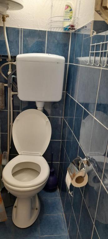 Koupelna v ubytování Snezana home