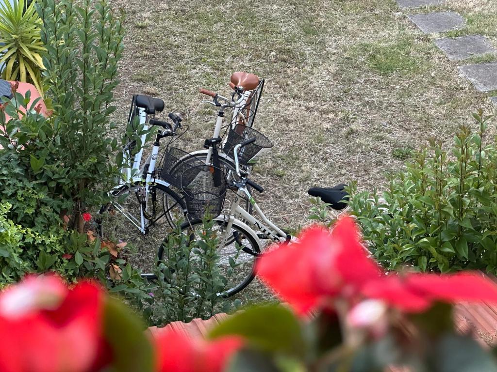 Jízda na kole v ubytování Domus Socolatae Cocoa Journey Tuscan Lifestyle B&B nebo okolí