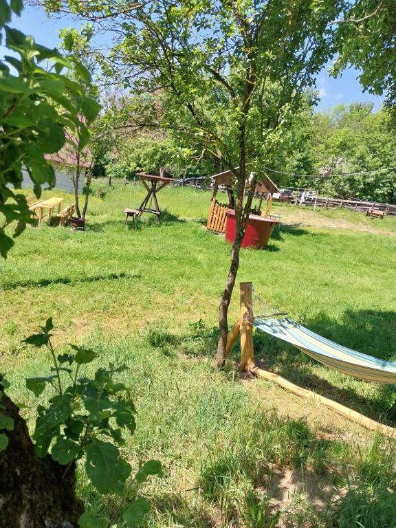 Zahrada ubytování RUSTIC SEJOUR,Roşia Montana