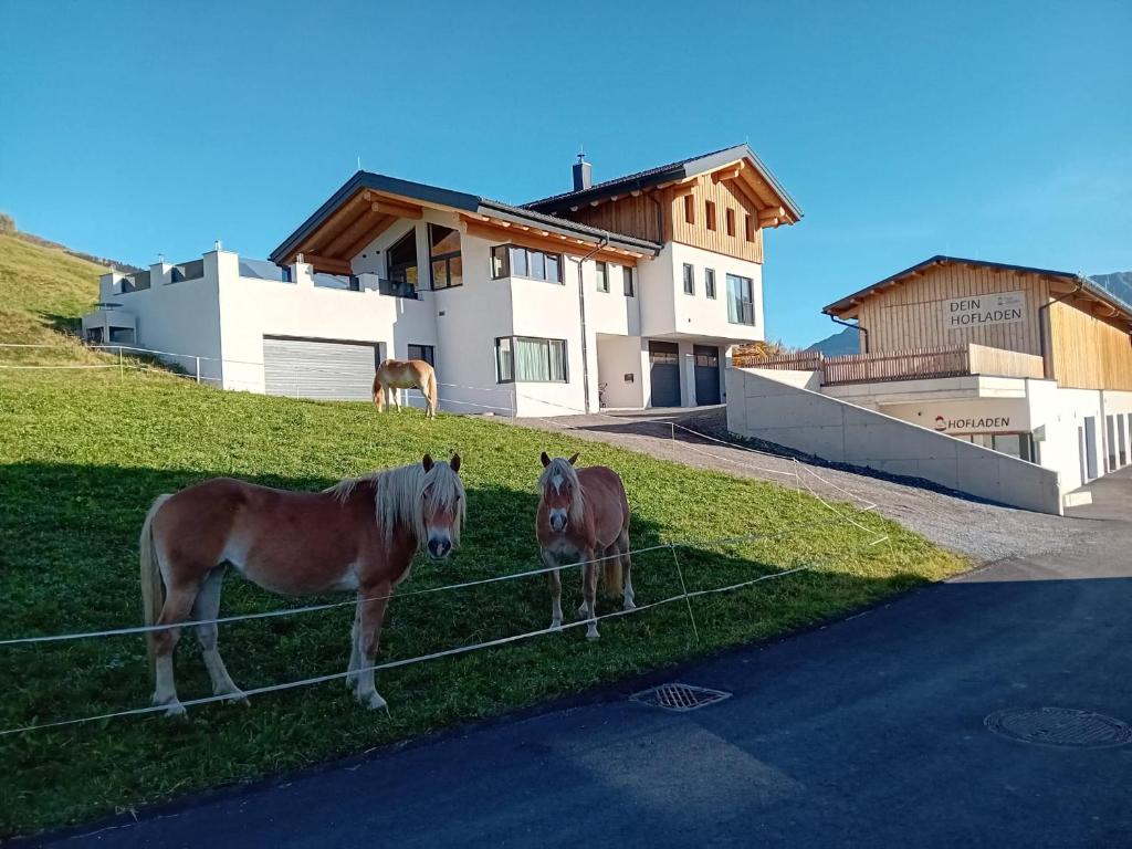 deux chevaux debout derrière une clôture devant une maison dans l'établissement Haus Eisenhut INKLUSIVE SuperSommerCard, à Fiss