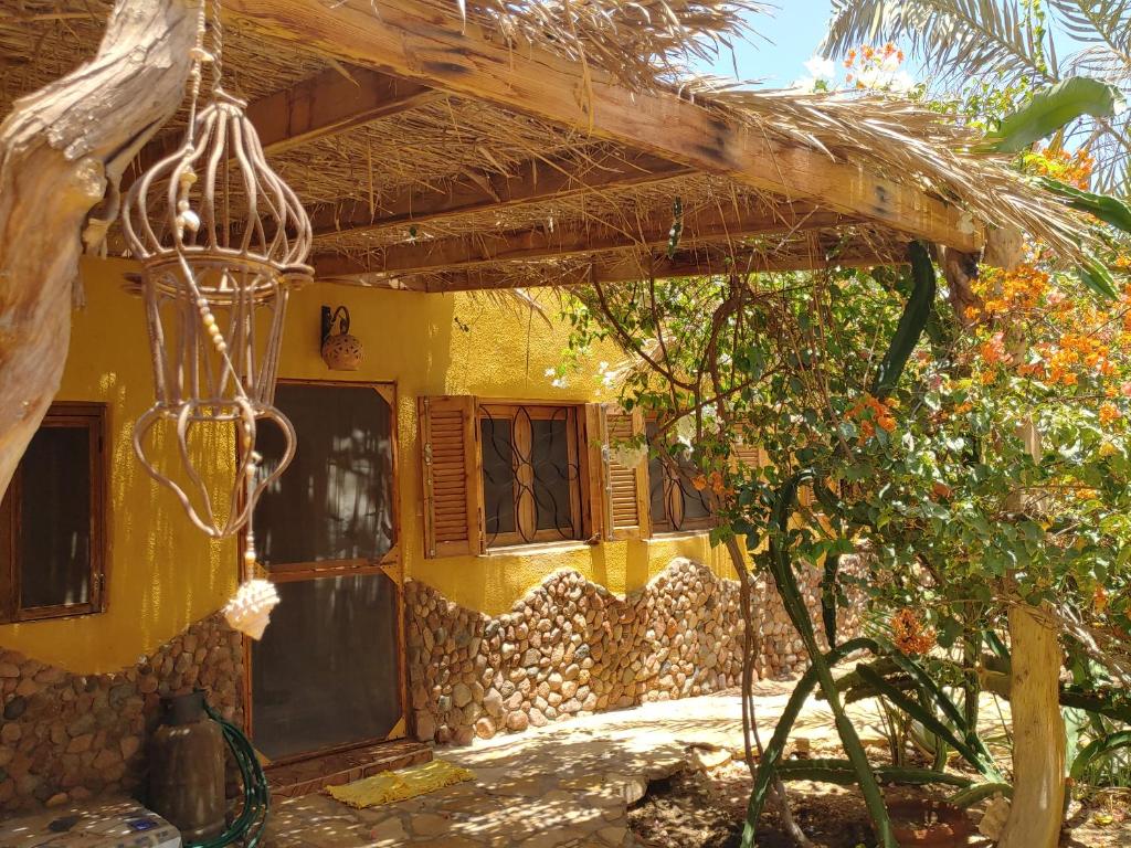 an outside view of a house with a building at Jillyfish House Dahab - deine Oase in zwei Palmengärten - zentral am 'Lighthouse' in Dahab