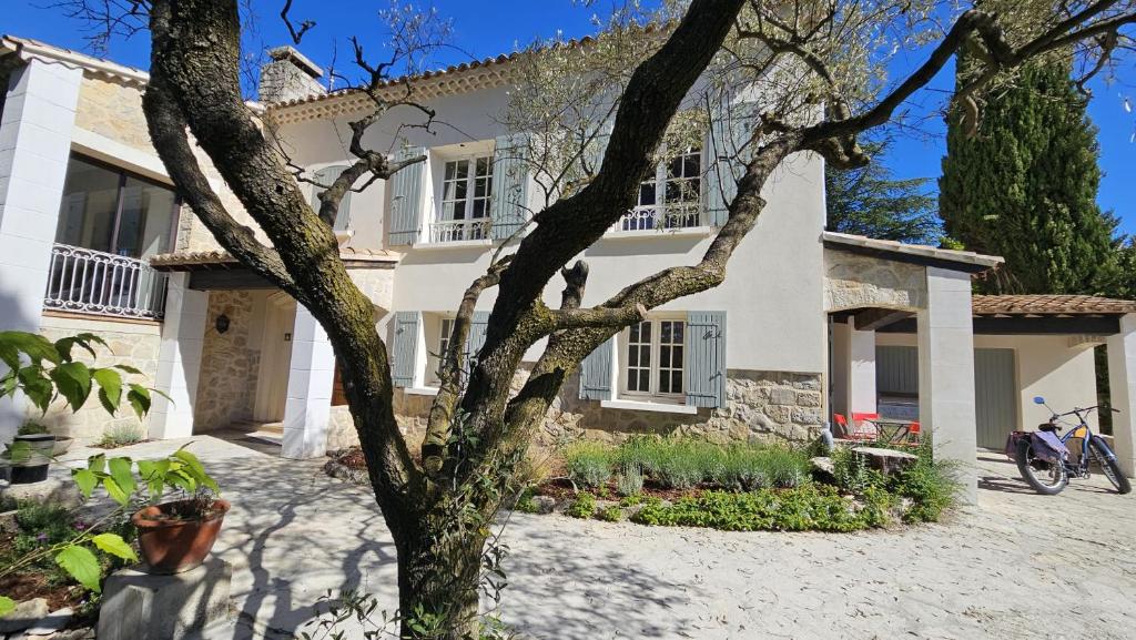 une maison avec un arbre devant dans l'établissement Villa Calou à Vaison, à Vaison-la-Romaine